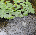 Atlantic Mini Aeration Kit with Tubing &amp; Stone For 1000 Gallons