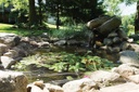 Atlantic Ultra Pond Net 20' x 30'