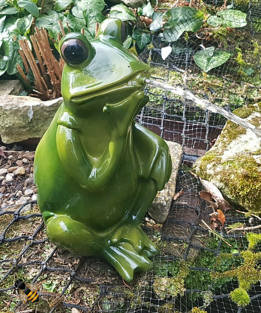 Bermuda Spitting Frog