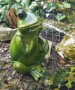 Bermuda Spitting Frog