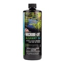Microbe-Lift Algaway 5.4 - 32 oz