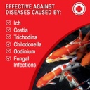 Microbe-Lift Broad Spectrum Disease Treatment - 32 oz