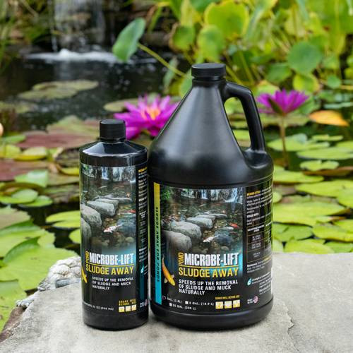 Microbe-Lift Sludge Away 1 gal