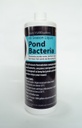 Pond Potions Liquid All-Season Pond Bacteria 32 fl oz