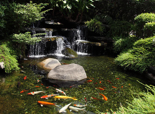 Fish Pond Liner - 45 mil EPDM Liner (x 50')