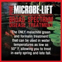 Microbe-Lift Broad Spectrum Disease Treatment - 32 oz