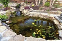 Fish Pond Liner - 45 mil EPDM Liner (x 50')