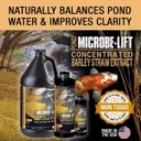 Microbe-Lift Barley Straw Extract 32oz