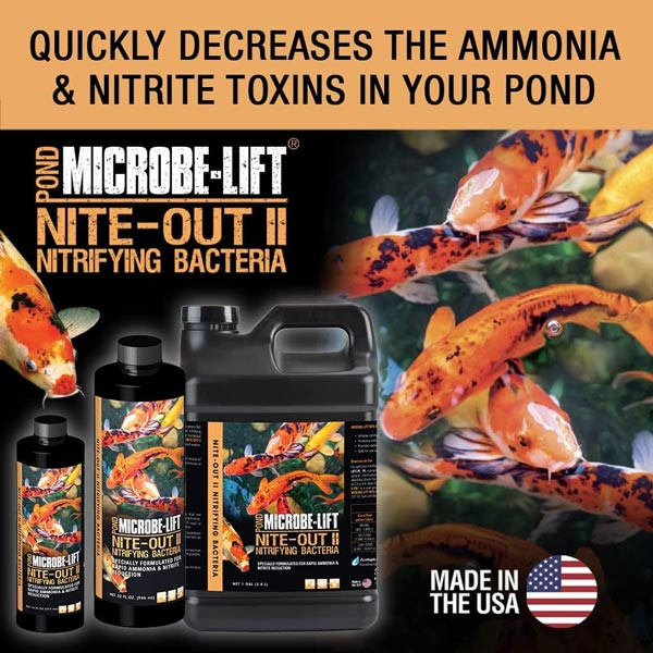 Microbe-Lift Nite-Out II Nitrifying Bacteria 16 oz