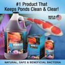 Microbe-Lift PL 32 oz