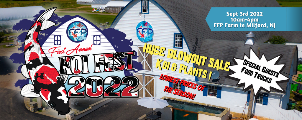 Koi Fest 2022