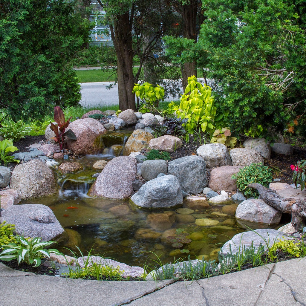 SMALL POND KIT 8' X 11'