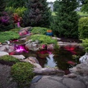 MEDIUM DELUXE POND KIT 11' X 16' W/AQUASURGE 2000-4000 ADJUSTABLE FLOW POND PUMP