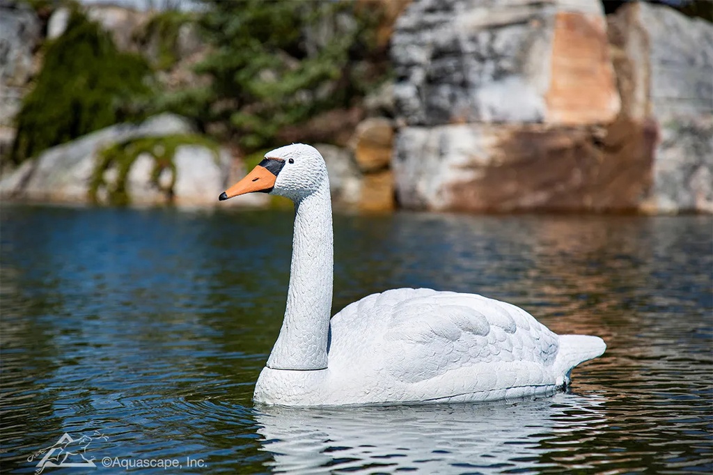 FLOATING SWAN DECOY