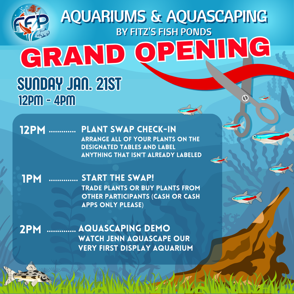 FFP Aquariums &amp; Aquascaping Grand Opening