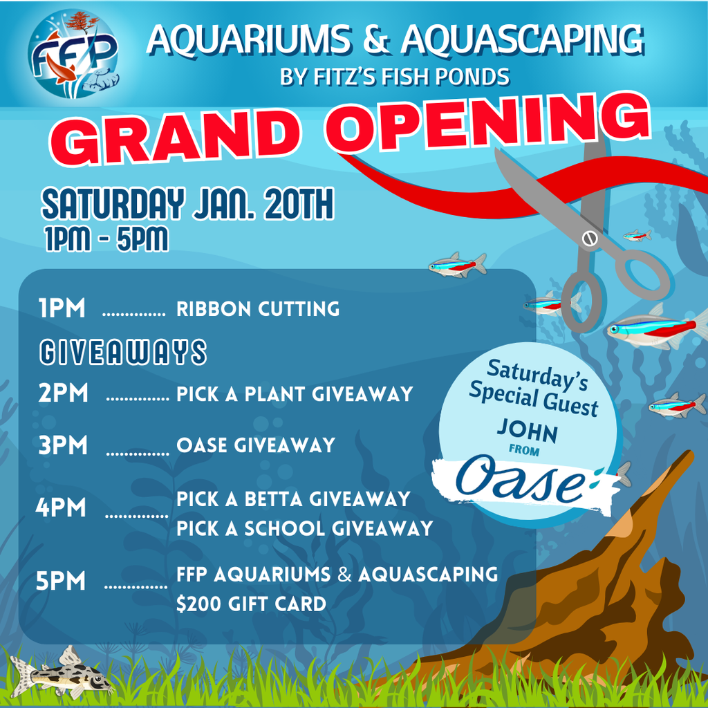 FFP Aquariums &amp; Aquascaping Grand Opening