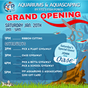 FFP Aquariums &amp; Aquascaping Grand Opening