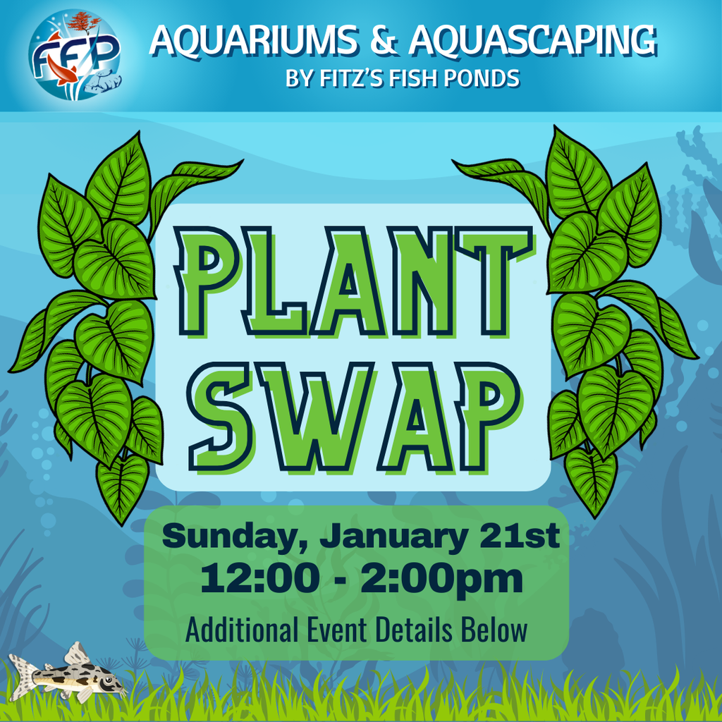 FFP Aquariums &amp; Aquascaping Grand Opening
