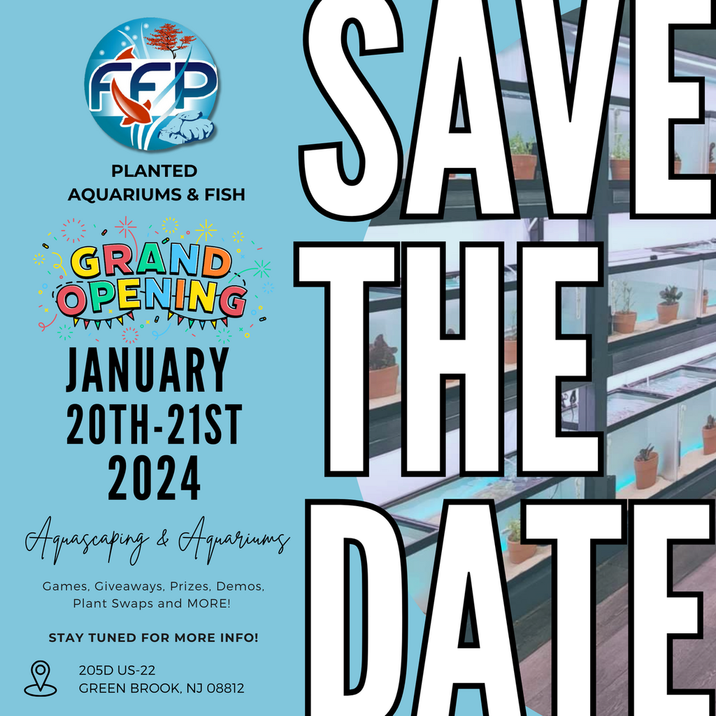 FFP Aquariums &amp; Aquascaping Grand Opening