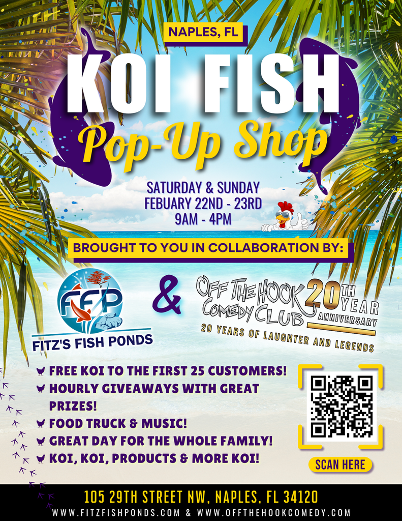Koi Fish Pop Up Shop - Naples, FL