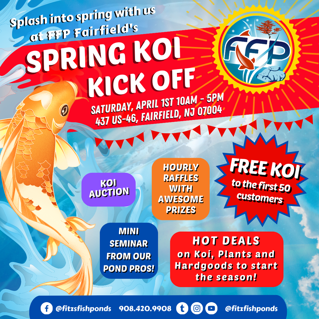 Spring Koi Kick Off- Fairfield, NJ