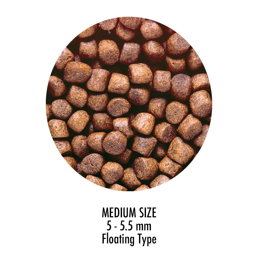 Hikari Saki-Hikari Growth 33lb Medium Pellet