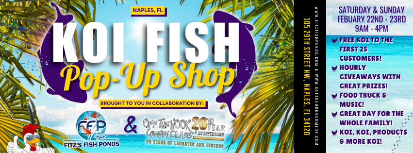 Koi Fish Pop Up Shop - Naples, FL