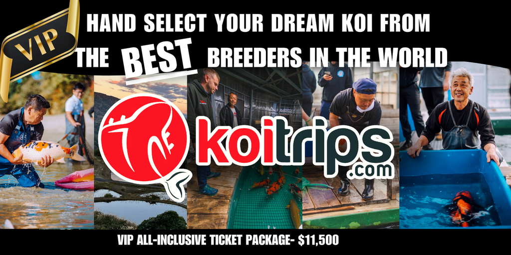 VIP Ticket Koi Trips to Japan- All Inclusive