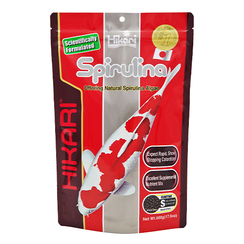 Hikari Spirulina Mini 17.6 oz