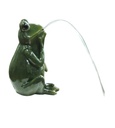 Bermuda Spitting Frog