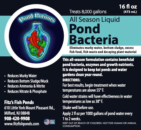 Pond Potions Liquid All-Season Pond Bacteria 32 fl oz