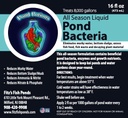Pond Potions Liquid All-Season Pond Bacteria 32 fl oz