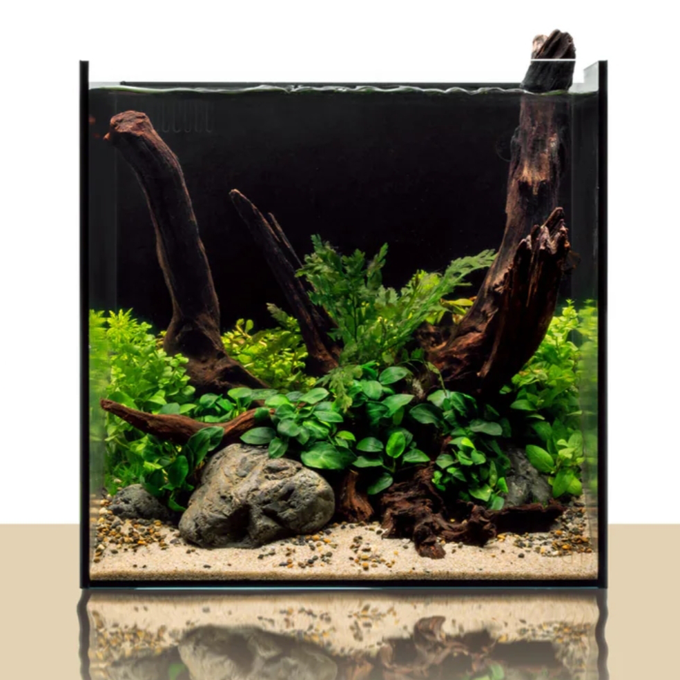 UNS Rimless Aquarium 35A AIO