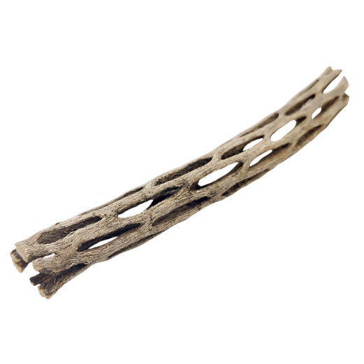 Cholla Wood