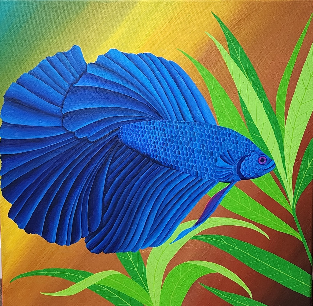 Betta in Blue