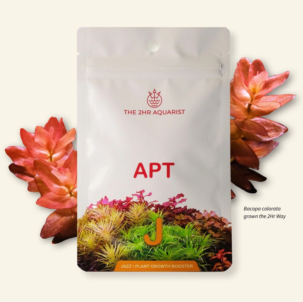 2Hr Aquarist APT Jazz (18 caps)