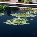 Pond Dye - Black - (4) 4oz Water Soluable Packs