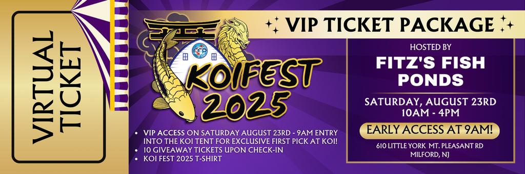 Koi Fest 2025 VIP Ticket