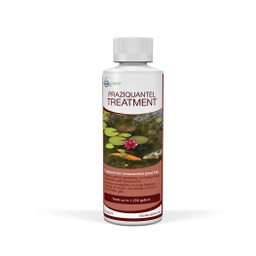 [ds-81041] PRAZIQUANTEL TREATMENT - 8 OZ / 236 ML