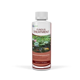 [ds-81040] FUNGUS TREATMENT - 8 OZ / 236 ML