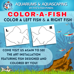 [AQUARIUM-AQUASCAPING- GRANDOPENING-2024-1-1-1] FFP Aquariums &amp; Aquascaping Grand Opening