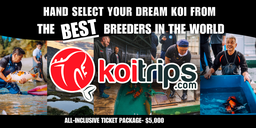 [Koi-Trips-Japan] Koi Trips to Japan- All Inclusive