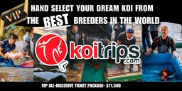 [Koi-Trips-Japan-1] VIP Ticket Koi Trips to Japan- All Inclusive