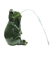 [BER6302] Bermuda Spitting Frog
