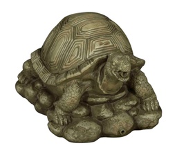 [BER6300] Bermuda Spitting Tortoise