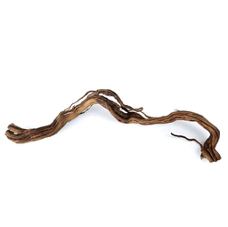[SRA 5927] Dragon Wood Small