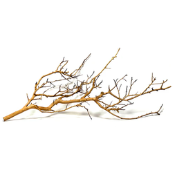 [SRA 6318] Fan Wood Large