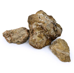 [SRA 3154] Petrified Wood (per pound)