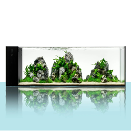 [UNS-90LA-AIO] UNS Rimless Aquarium 90LA AIO
