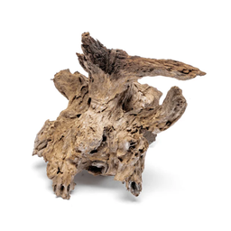 [UNS-MW-M] Madra Wood (Medium)